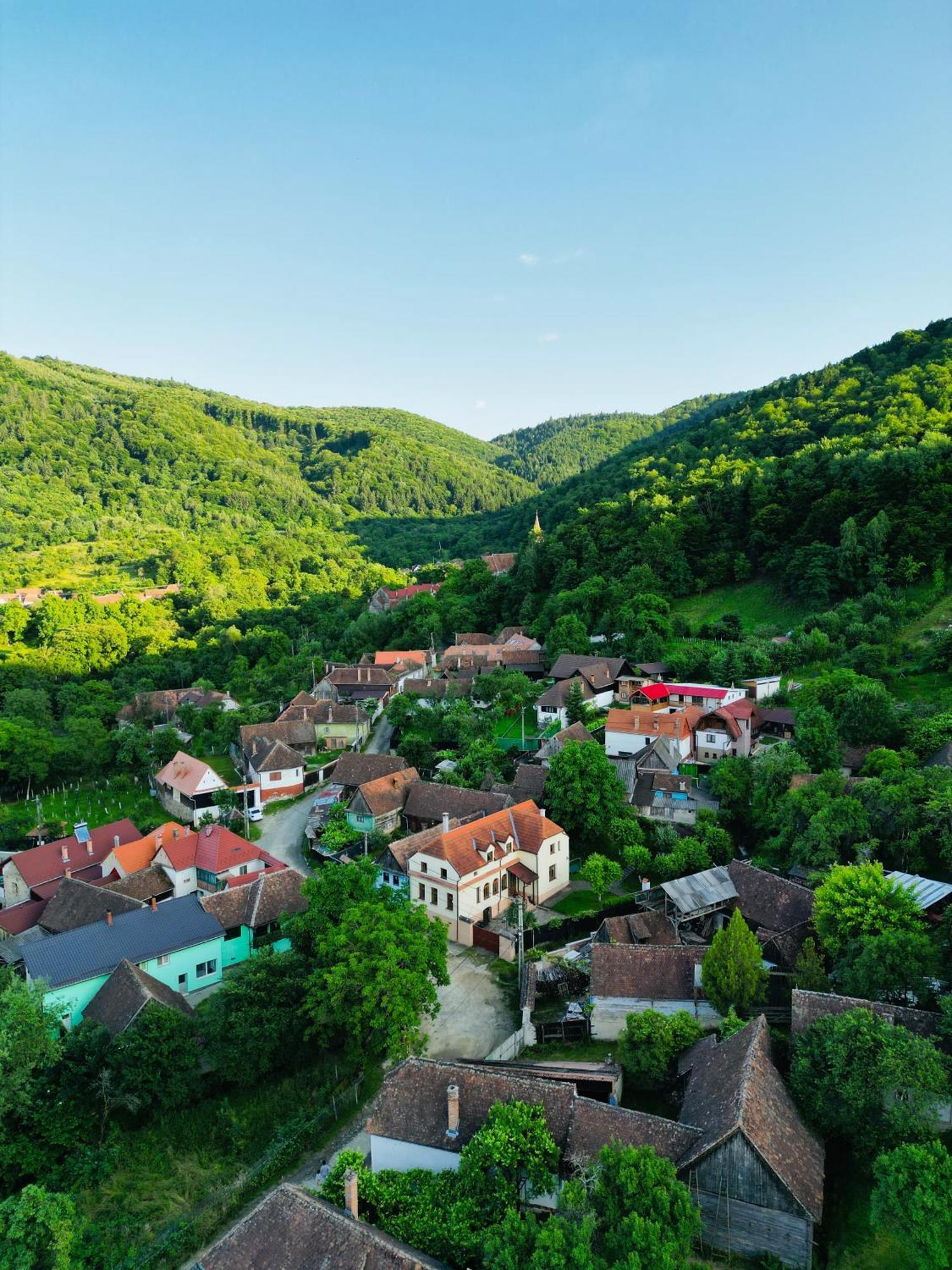 The Hut Retreat * Fantanele (Sibiu)